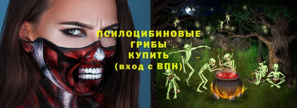 соль ск Всеволожск