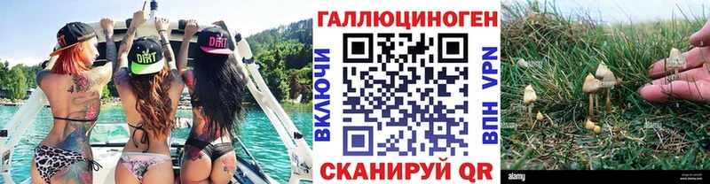 Галлюциногенные грибы Psilocybine cubensis  магазин  наркотиков  Иннополис 
